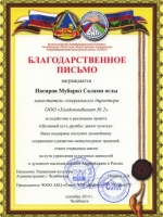 -Насиров
